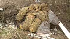 Košičanov stále ohrozujú hnijúce prasacie paprčky