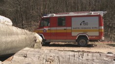 Nešťastie na východe Slovenska. Muž (†51) pílil strom a privalil ho ďalší