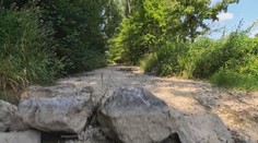 Na dážď čakajú ako na spasenie. V púchovskom okrese hrozí masívny úhyn rýb