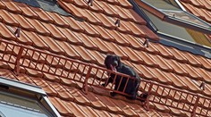 Dramatická záchrana v centre Bratislavy: Pozor, pes na streche!