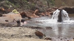 Kúpu sa napriek koronavírusu, starosta preto rozryl brehy a vypustil vodu. Nepomohlo to