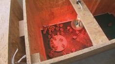 Vzácna zásielka z Francúzska: Na slovenské polia vrátia vtáky, ktoré zmizli pred polstoročím