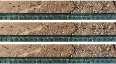 Vedci zrejme našli riešenie na plynulú premávku bez kolón. Mohli by sme sa inšpirovať mravcami