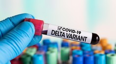 Indická mutácia covidu sa v Británii stala dominantnou. Je o 60 percent nákazlivejšia