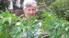 „Mariška“ medzi petúniami, babička (65) v problémoch: Dôchodkyňa, ktorá baví svet!