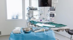 Recepčná si z veterinárnej kliniky odnášala bizarné trofeje. Mŕtvym psom odrezávala ňufáky