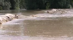 Na východe sa nestratia! Testovali sme tamojší vynález na povodne
