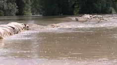 V Sabinove vyhlásili pre zvýšenú hladinu Torysy III. stupeň
