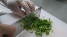 Koriander má toľko nepriateľov, že mu vytvorili vlastný sviatok. Zisťovali sme, prečo ho jedni nenávidia a iní milujú