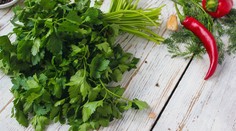 Nenápadná bylinka z vývaru. Petržlenová vňať je doslova vitamínová bomba