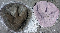 FOTO: Objavili križovatku dinosaurích ciest. V kameňolome sa nachádzajú stovky stôp