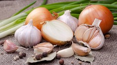 Bukovský odpovedá: Je dobré jesť cibuľu a cesnak každý deň?