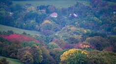 Premenlivý október: Po ochladení príde opäť teplejší vzduch