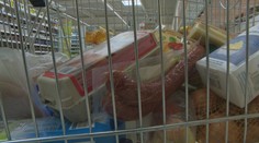 Vláda chce zmierniť vysoké ceny potravinovými šekmi. Nedostanú ich však všetci