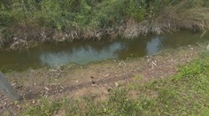 Počas dažďa prežívajú peklo, neznesiteľný smrad im strpčuje život už tri roky