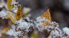 Zima už dorazila k našim susedom. V Česku spadli prvé snehové vločky