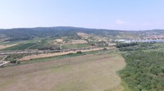 Pátranie po pume v Bratislave pokračuje. Svedkov vraj pribúda