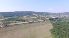 Pátranie po pume v Bratislave pokračuje. Svedkov vraj pribúda