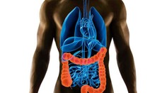 Naši vedci prišli na úžasnú vec