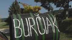 Burčiak možno budeme piť tento rok skôr