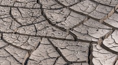 Celý svet potrápi mimoriadne horúce leto. Rekordy môžu zasiahnuť aj Slovensko