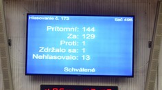 Via Iuris predložila ÚS argumenty týkajúce sa zrušenia Mečiarových amnestií