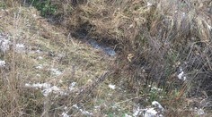 Polícia objasnila vraždu ženy v Pezinku