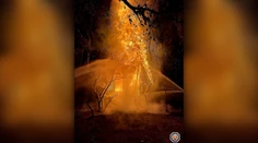 FOTO: Požiar chaty na západnom Slovensku. Spôsobil škodu 80-tisíc eur