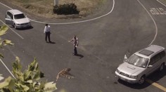 Máte radi rýchlu jazdu? Šokujúce video, ktoré vás donúti premýšľať