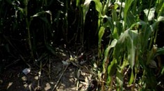 Prešlo 15 rokov a rodina tehotnej 24-ročnej Evy stále nepozná jej vraha