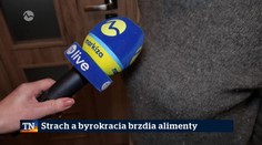 Strach a byrokracia brzdia alimenty