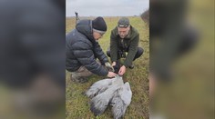 V jednej z naj vzácnejších prírodných lokalít na Slovensku niekto postrieľal chránené žeriavy