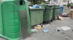 Potkany hodujú medzi odpadkami a niekedy sa pustia aj do áut. Mesto prichádza s riešením dlhoročného problému