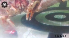 Krab Petrovič rozhodol o osude Slovákov