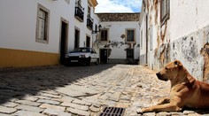 Začína sa daňový kolotoč: Na čo nezabudnúť do 31. januára?