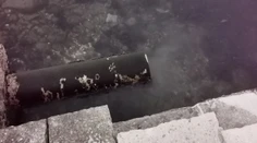 Video z Chorvátska: Keď toto turisti videli, nemali ani chuť okúpať sa v mori