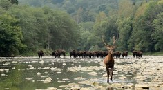 Zábery, ktoré uchvátili aj zahraničie. Slováci ani netušia, aké poklady tu máme