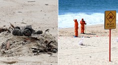 FOTO + VIDEO: Vedci zistili, čo obsahujú extrémne páchnuce gule, ktoré uzavreli pláže v Austrálii