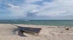 Muž zomrel na pláži v Taliansku, keď ho napadol roj včiel. Na jeho tele nenašli žiadne stopy po žihadlách