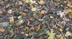 Na zvolenskom sídlisku odchytili na rovnakom mieste už druhého hada