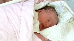 Náhradná matka - obchod s ľudským telom!?