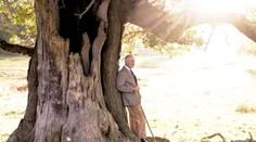 Zverejnili prvý narodeninový portrét Karola III. ako panovníka