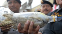 Bezcitné! Až 24 papagájov pašovali v plastových fľašiach