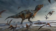 Vedci našli pozostatky najväčšieho mäsožravého dinosaura Európy