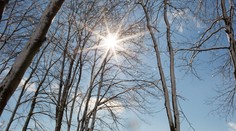 Takýto horúci január sme ešte v histórii nezažili, oznámili európski vedci