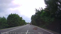 VIDEO: Otrasné správanie na slovenskej ceste. Vodič ohrozoval premávku, z korby mu vypadávali obrovské konáre