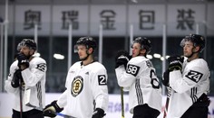 Bakoš je už zdravý, na svoju šancu bude čakať v AHL