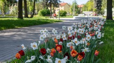 Pár dní si užijeme krásne počasie, teploty sa budú šplhať vysoko