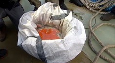 Zverejnili posledné slová pilota z havarovaného lietadla s Alexandrovcami