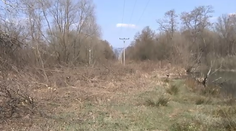 Neporiadok po elektrikároch: Takto vyrabovali najkrajšiu časť lesa